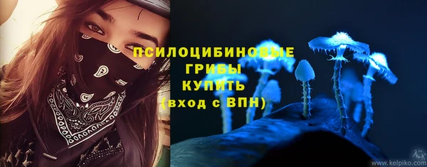 сатива Медногорск