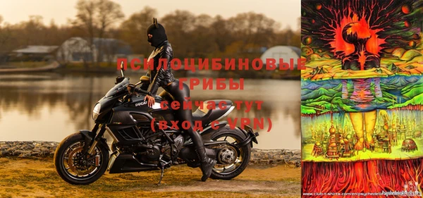 дживик Абинск