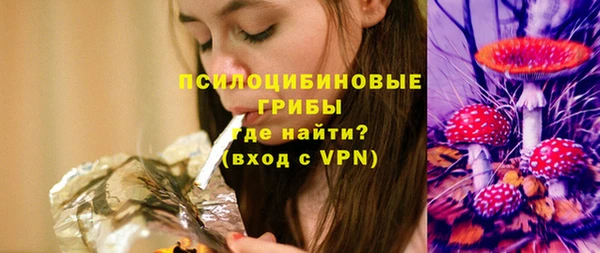дживик Абинск